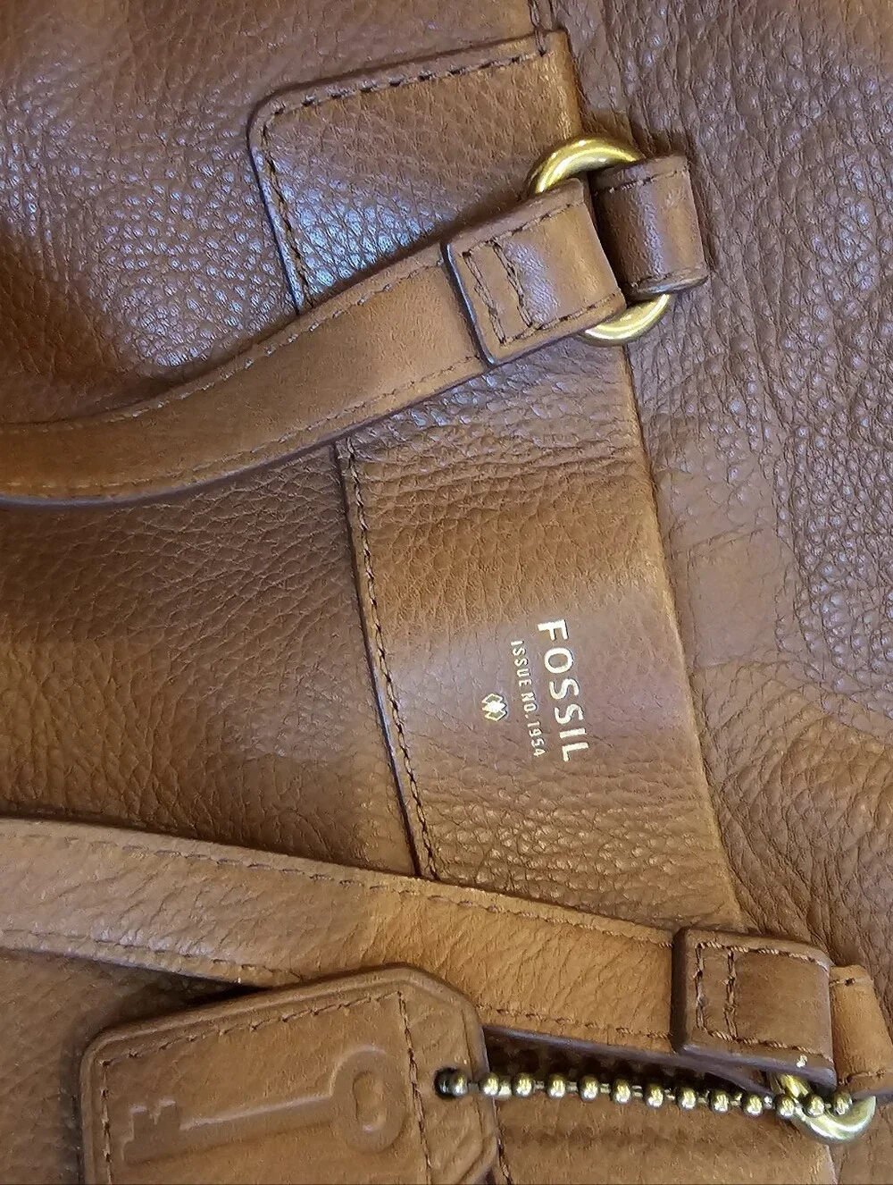 Fossil medium brown